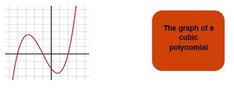 Class 10 Polynomials Basics Problems And Solved Examples Math Square