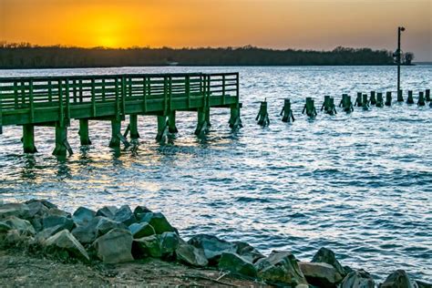 Cooper Lake State Park Texas Stock Image - Image of trees, lake: 209136275