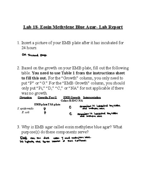 Lab 18 Eosin Methylene Blue Agar Lab Report Insert A Picture Of