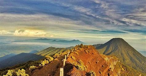 Mount Gede Pangrango National Park Cianjur Journey