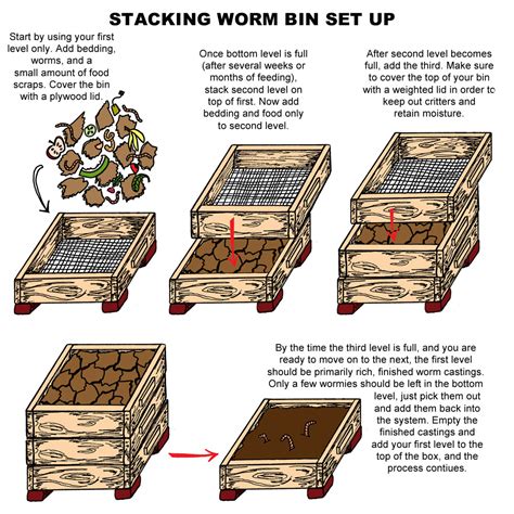 wormbindiagram - Abundant Permaculture