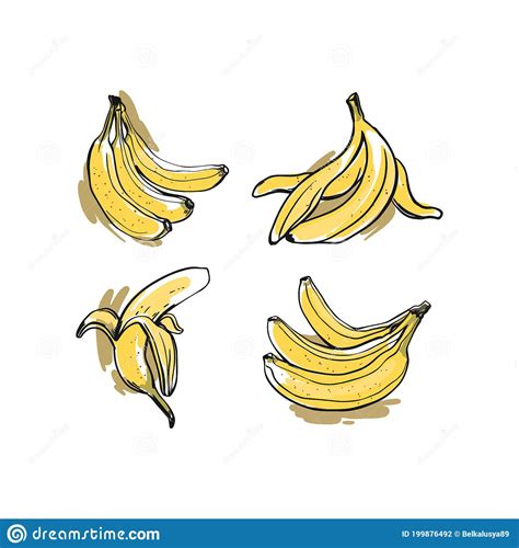 Conjunto De Bananas Amarelas Ilustração do Vetor Ilustração de fresco