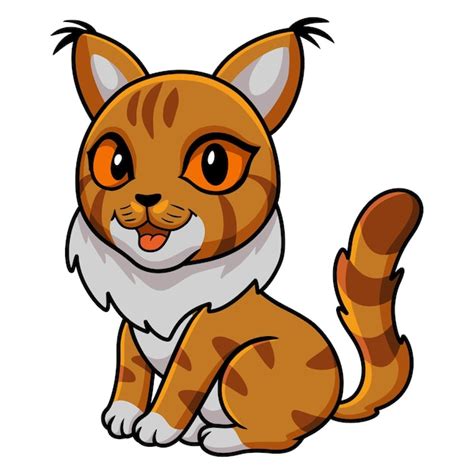 Premium Vector Cute Maine Coon Cat Cartoon