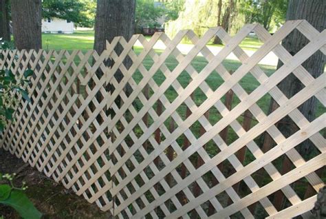 Cheap Easy Dog Fence With 3 Popular Dog Fence Options