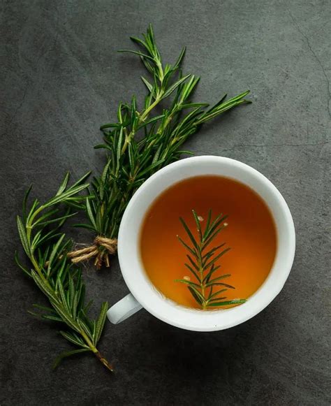 Rosemary Tea Health Benefits You Should Know In Tea Health