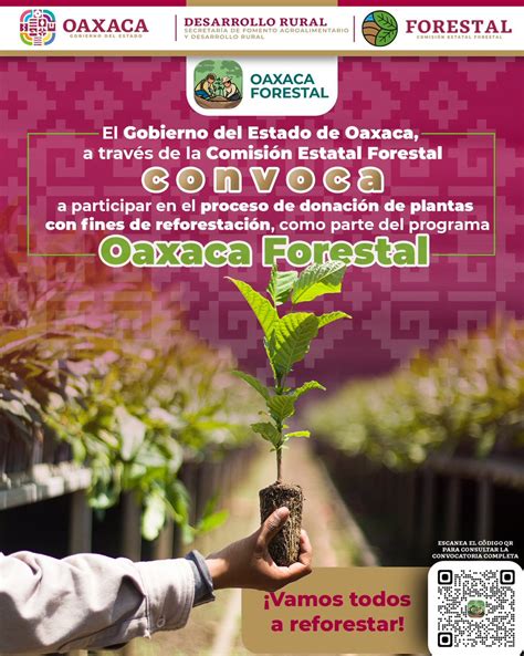 Sr A De Medio Ambiente De Oaxaca On Twitter Rt Coesfo Goboax El