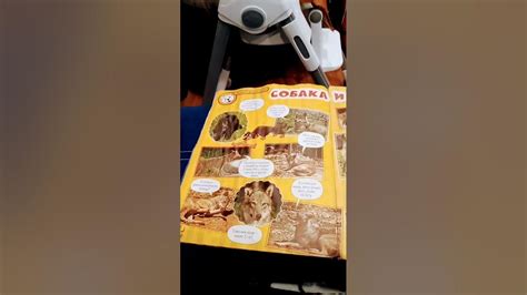 Обзор Тошка и компания - YouTube