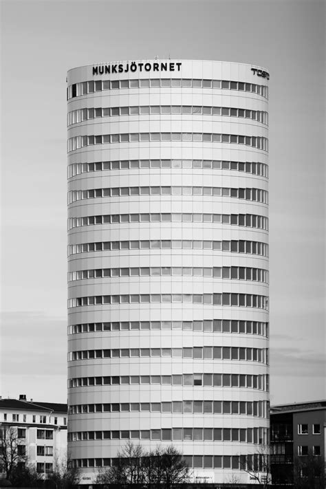 Did Trump Make Window Tint Legal? Shocking Truth Revealed