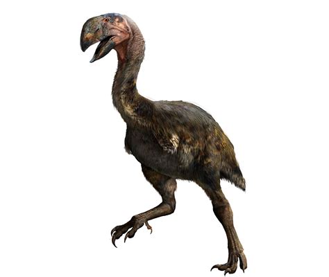 11 terrifying dinosaurs that rocked feathers better than birds – Artofit