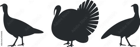 Turkey silhouette. Isolated turkey on white background. Bird Stock ...