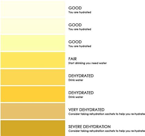 free 10 sample urine color chart templates in pdf ms word - alcohol and ...