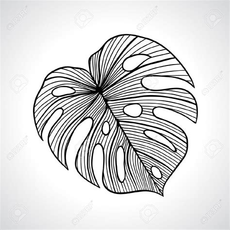 clipart de feuille en noir et blanc - Observer