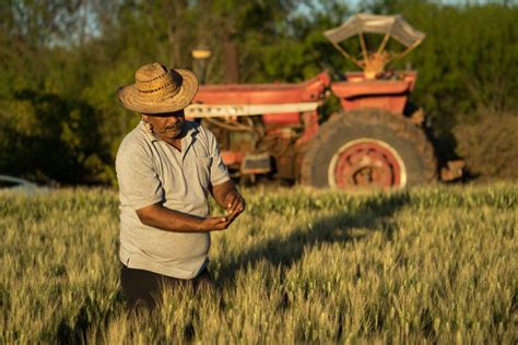 Farmers Environment And Carbon Markets To Profit From More Precise