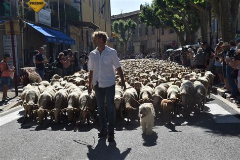 F Te De La Transhumance De Riez Maison De La Transhumance