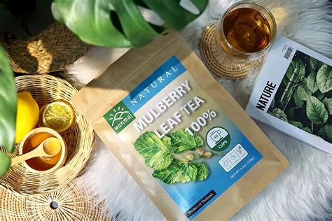 Wanmai29 Mulberry Leaf Tea Natural And Healthy Instant Honey Ginger Tea Custom Flavor Powder Tea