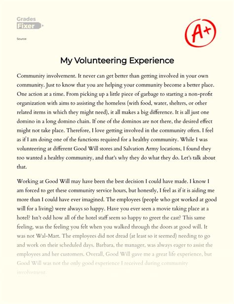 Volunteer Experience