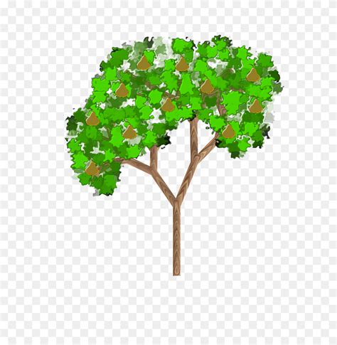 Swamp Plants Clip Art Free Cliparts - Cypress Tree Clipart - FlyClipart