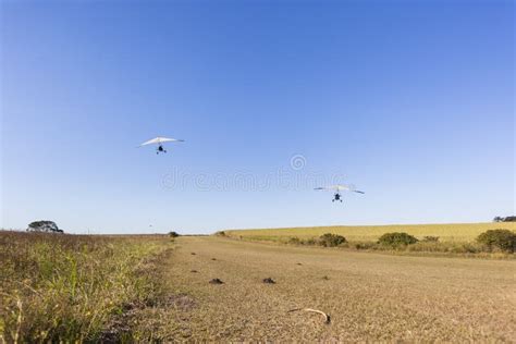 Flying Microlight Aircraft Sepia Stock Image - Image of microlight ...