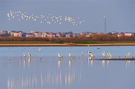 O maior lago de água doce da China vê aumento no nível de água