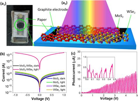 A Digital Image And A Schematic Image Of Paper Coated With