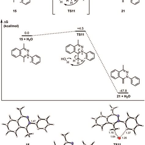 Optimized Geometries Of Intermediates Products And Transition States