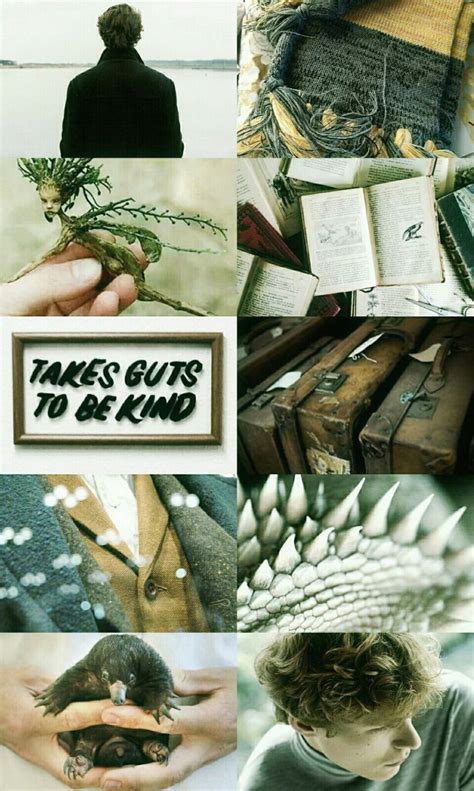 Newt Scamander Aesthetic Harry Potter Aesthetic Harry Potter