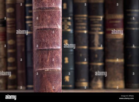 selective focus   book  books background unfocused stock photo