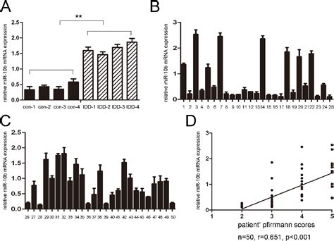 Figure 1 From Microrna 10b Promotes Nucleus Pulposus Cell Proliferation