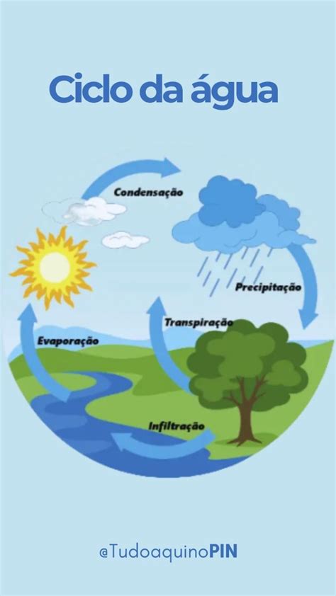 Desenho Sobre O Ciclo Da Água - Ciclo da agua resumo | Mapa mental ciclo da agua, Ciclo da agua desenho ...