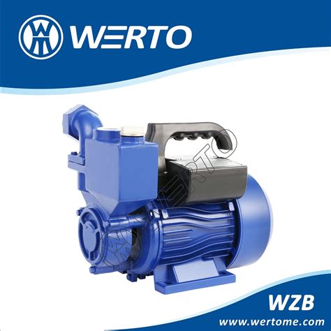 Wzb Domestic Use Electric Self Priming Peripheral Pump Household