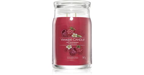 Yankee Candle Red Raspberry Candela Profumata I Signature Notino It