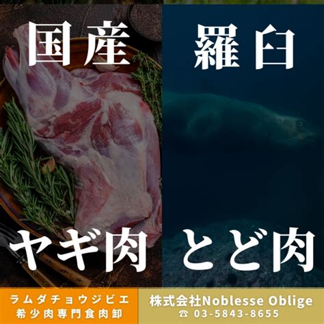 株式会社noblesse Oblige 今週の入荷情報！