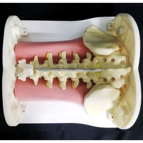 In P Endoscope Lumbar Spine Surgery Simulator Laparoscopic Trainer