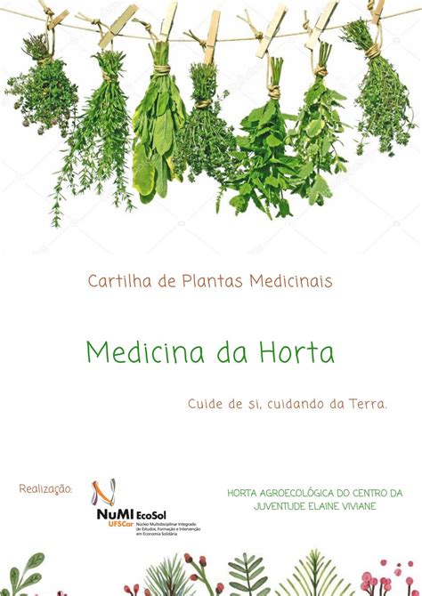 Cartilha De Plantas Medicinais By Nathalia Hristov Issuu