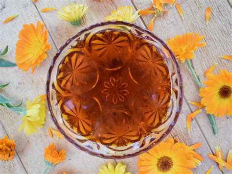 Herbal Medicine Making Workshop | Hands-On Weekend at Ravensong