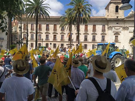 Protestas En Valencia Agricultores Exigen Medidas Urgentes Al Gobierno