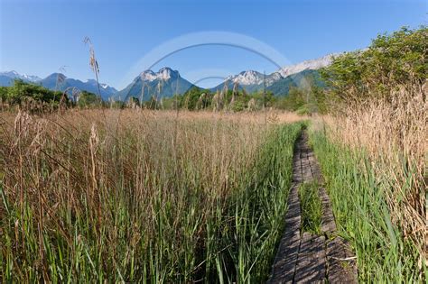 Réserve naturelle du Bout du Lac d Annecy sentier pédagogique