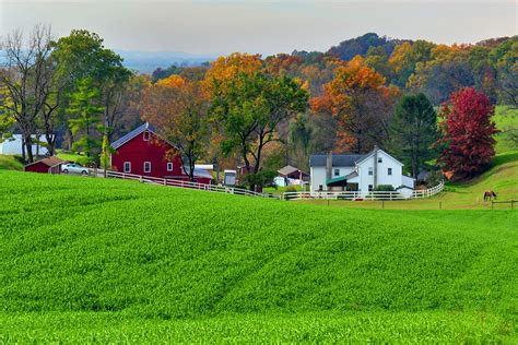 Joyful Simplicities Lancaster PA | Year by year the complexi… | Flickr