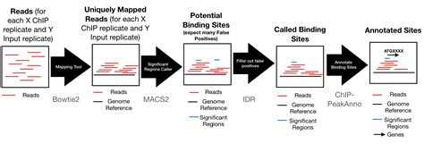 ChIP-Seq Analysis Pipeline for Arabidopsis – Wagner Lab