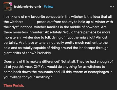 Pin By Abstract Reality On Fandom Funnies The Witcher Writing A Book