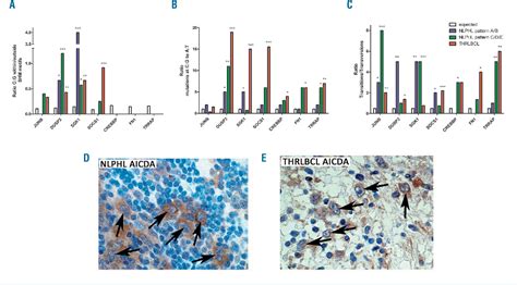 T Cell Histiocyte Rich Large B Cell Lymphoma Semantic Scholar