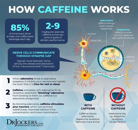 5 Strategies To Get More Benefits From Your Coffee Coffee Benefits