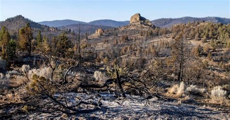 Major Us Wildfire Grows Forcing New Evacuations New Straits Times