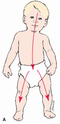 Lifespan Ch 5 Theories Of Growth And Development Flashcards Quizlet