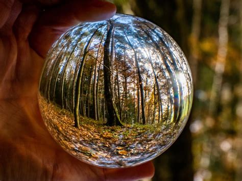 Premium Photo Close Up Of Person Holding Crystal Ball