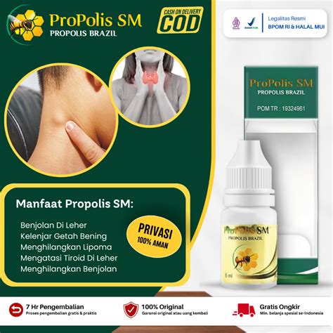 Jual Propolis SM Obat Benjolan Di Leher Kelenjar Getah Bening Lipoma