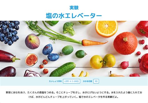 学研キッズネット「夏休み！自由研究プロジェクト」webサイト Work 株式会社ヒソカ