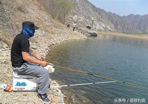 夏釣鯉魚，這3種釣法能讓中魚率提升一半 每日頭條