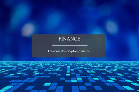 Pourquoi L Avenir Est Il Dans La Crypto Monnaie Polymeta