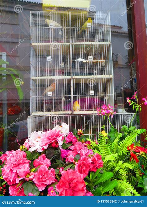 Multi Story Bird Cage In Window Stock Photo Image Of Andalusia Bird